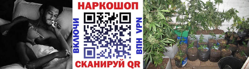 Виды наркоты Плавск Alpha-PVP  Меф  Cocaine  Гашиш  Каннабис 