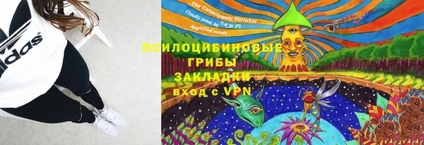 таблы Алзамай