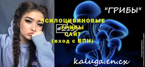 шишки Абинск